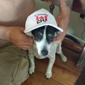 Meet your Posher, William